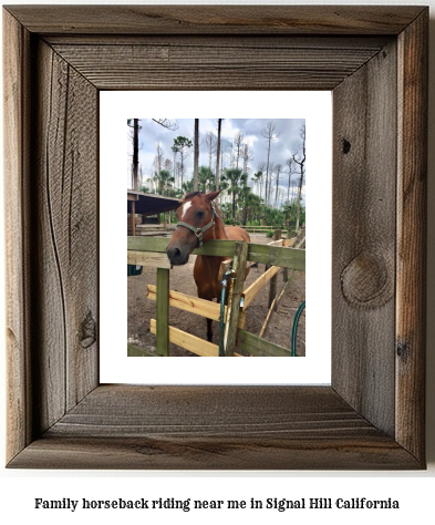 family horseback riding near me in Signal Hill, California